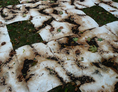 11. September 2014 - 11 września 2014 (Foto/zdjęcie: Dorota Michalska-Hejduk) Matthias Harnisch * Kunst und Natur