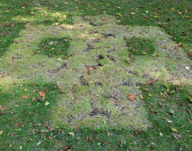 4. Oktober 2014 - 4 października 2014 Matthias Harnisch * Kunst und Natur