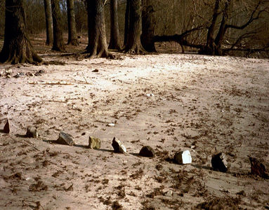 Rheininsel Nonnenau bei Ginsheim (23.03.2003) Matthias Harnisch * Kunst und Natur