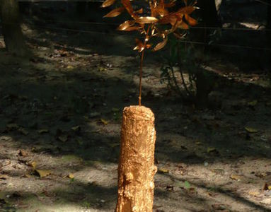  Omphalos Matthias Harnisch * Kunst und Natur