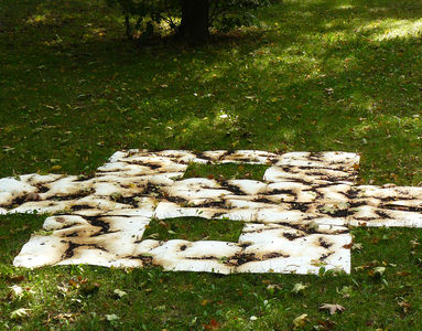 20. September 2014 - 20 września 2014 (Foto/zdjęcie: Dorota Michalska-Hejduk) Matthias Harnisch * Kunst und Natur