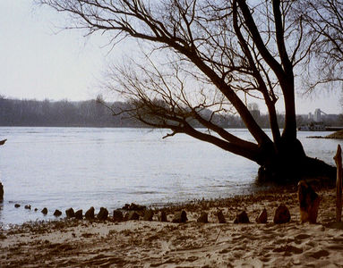 Rheininsel Nonnenau bei Ginsheim (23.03.2003) Matthias Harnisch * Kunst und Natur