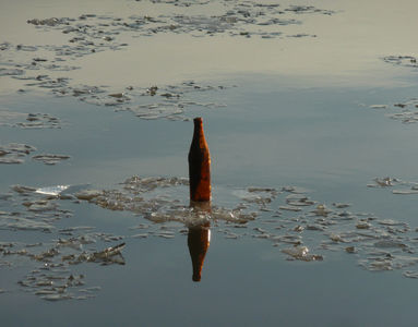 Mainz-Kastel, Rheinufer (12.02.2012) Matthias Harnisch * Kunst und Natur