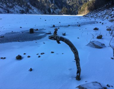Vogesen, Lac Blanc (03.01.2017) Matthias Harnisch * Kunst und Natur