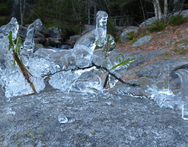Vogesen, Lac Noir (31.12.2016) Matthias Harnisch * Kunst und Natur