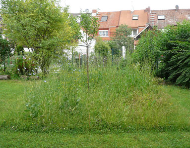 Blick von Süden (19.06.2011) Matthias Harnisch Kunst
