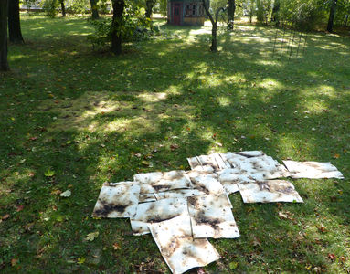4. Oktober 2014 - 4 października 2014 (Foto/zdjęcie: Dorota Michalska-Hejduk) Matthias Harnisch * Kunst und Natur