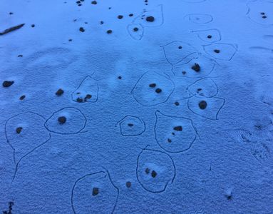 Vogesen, Lac Blanc (03.01.2017) Matthias Harnisch * Kunst und Natur