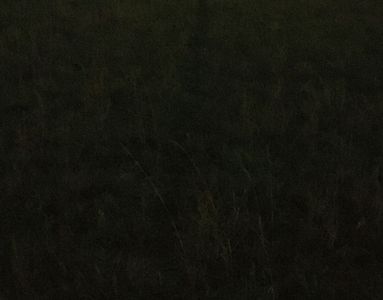 26.10.2020  Der Pfad am Abend - 17.47 Uhr, nach der Zeitumstellung - vorgestern wäre es jetzt noch hell gewesen / The evening path - 5.47 pm, after the clock-change - the day before yesterday it would have been still light at that time Matthias Harnisch * Kunst & Natur