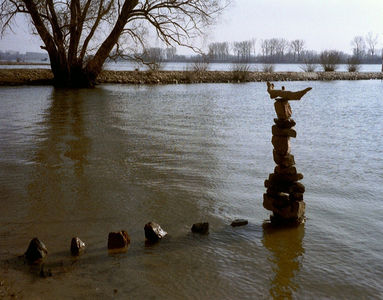 Rheininsel Nonnenau bei Ginsheim (23.03.2003) Matthias Harnisch * Kunst und Natur