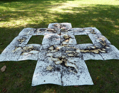 6. September 2014 - 6 września 2014 Matthias Harnisch * Kunst und Natur