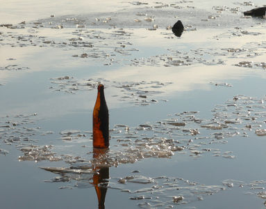 Mainz-Kastel, Rheinufer (12.02.2012) Matthias Harnisch * Kunst und Natur