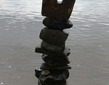 Mainufer bei Gustavsburg (28.06.2009) Matthias Harnisch * Kunst und Natur