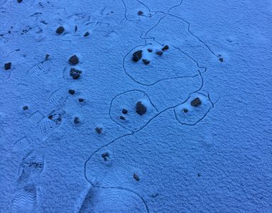 Vogesen, Lac Blanc (03.01.2017) Matthias Harnisch * Kunst und Natur