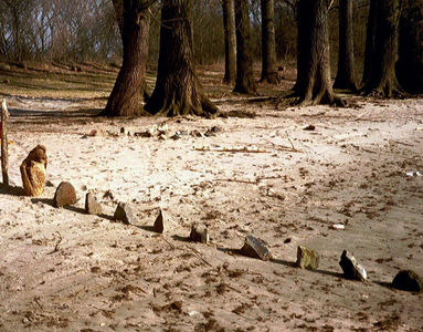 Rheininsel Nonnenau bei Ginsheim (23.03.2003) Matthias Harnisch * Kunst und Natur